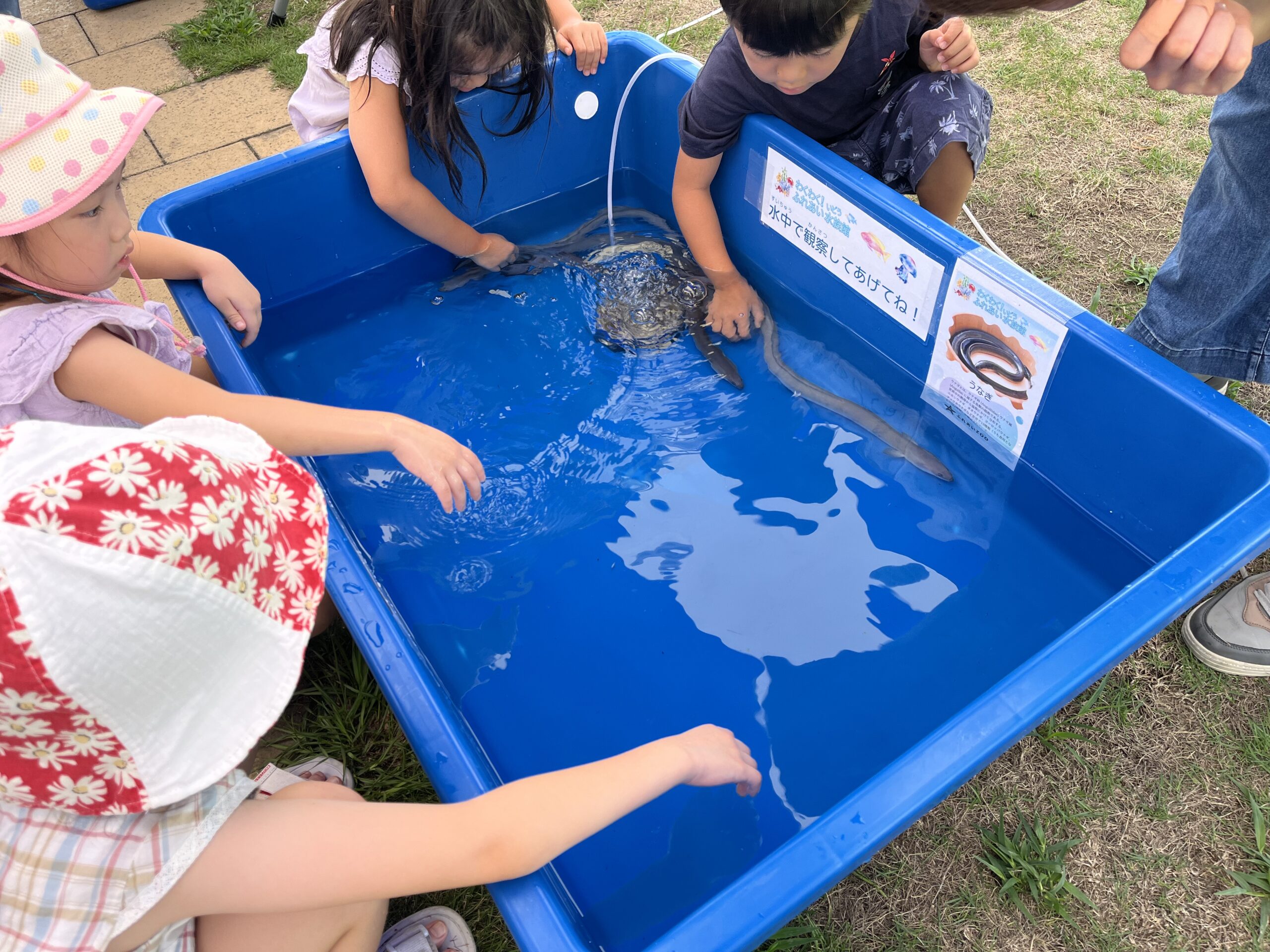 ふれあい移動動物園