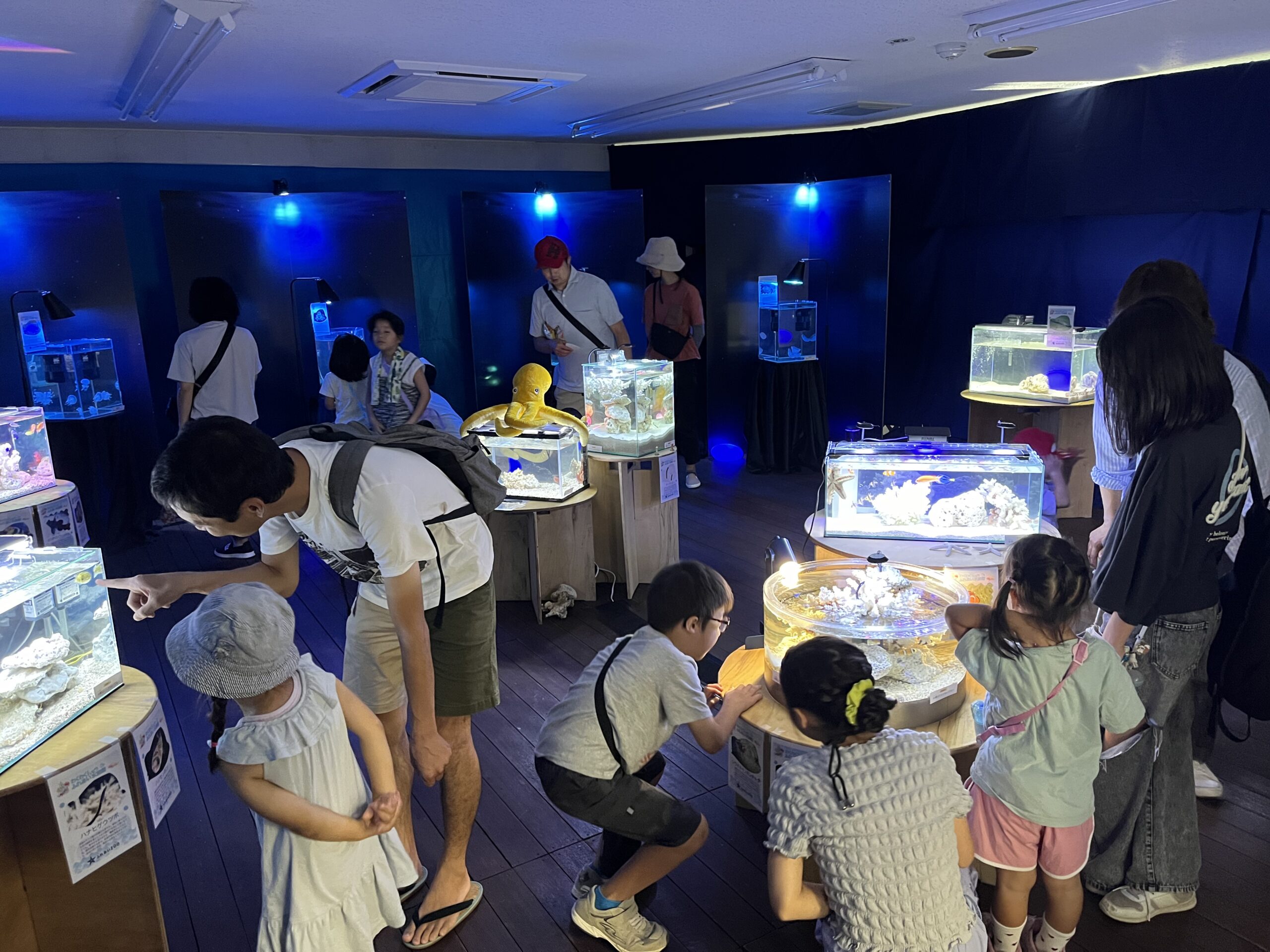 移動アクアリウム