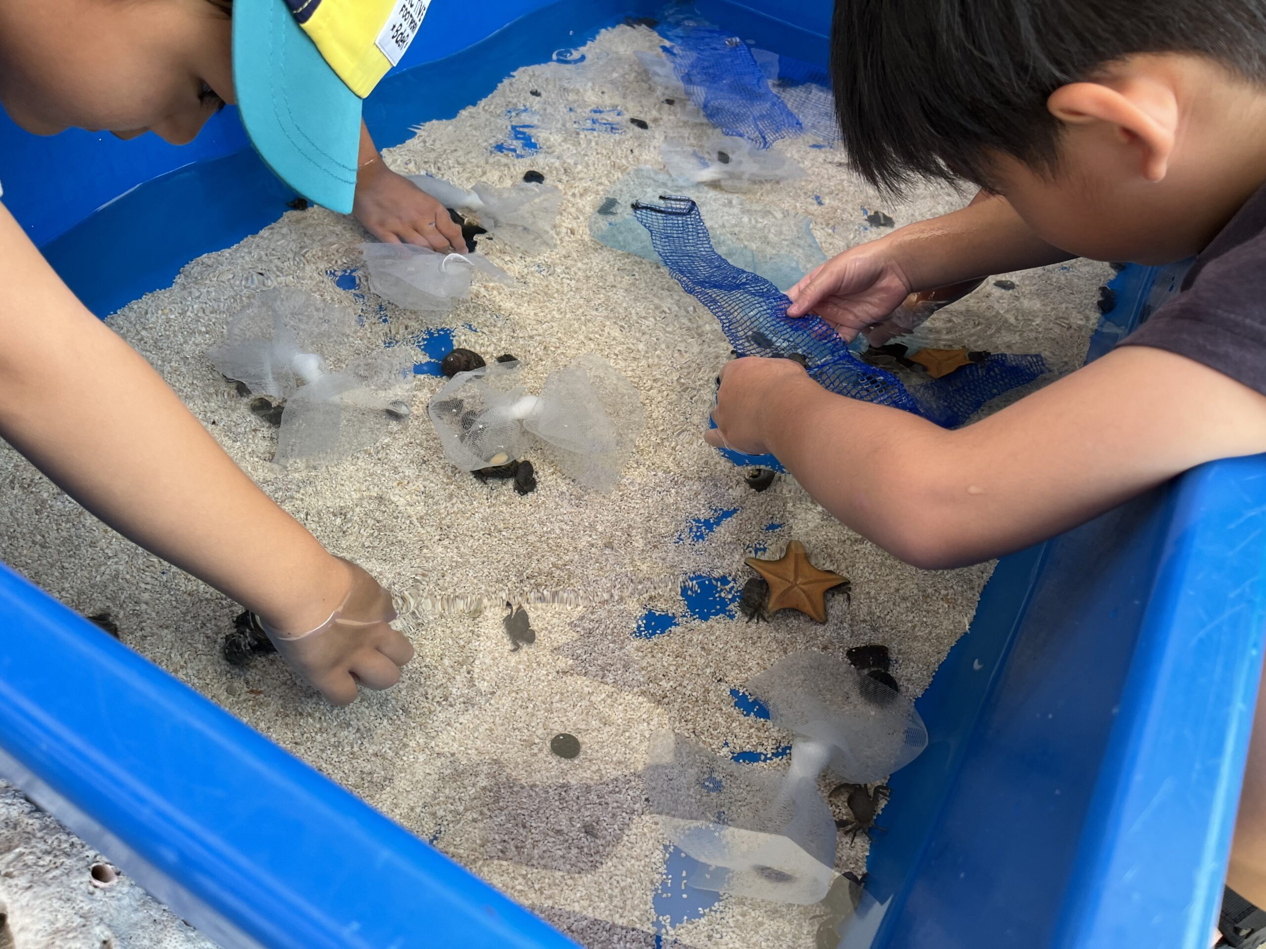 ふれあい移動動物園
